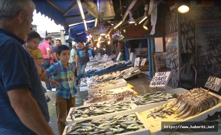 Trabzon'da istavrit ve mezgit bereketi