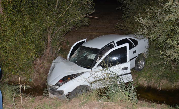 Sürücüsü kalp krizi geçirdi sulama kanalına girdi: 1 ölü, 3 yaralı
