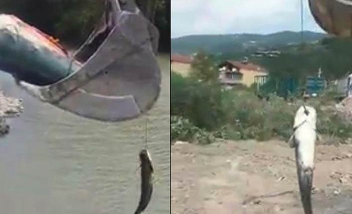 İlginç görüntü! Tuttuğu balığı...