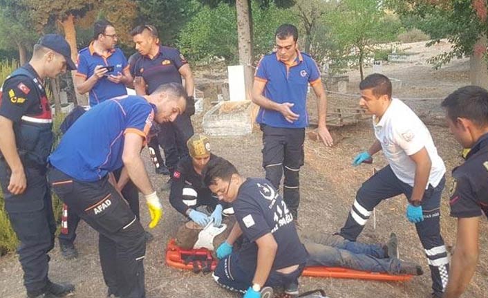 Mezarlıktan gelen sesler Aydın'ı ayağa kaldırdı!
