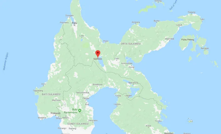 Eşini ısırarak öldürdü!