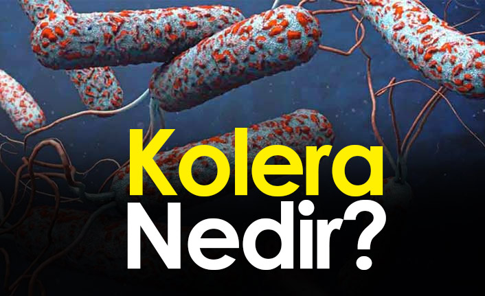 Kolera Nedir? Kolera belirtileri ve tedavileri nelerdir?