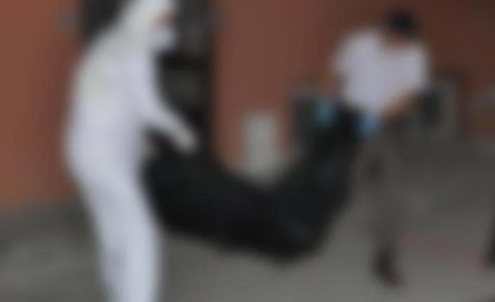 Ağaçtan düşen şahıs hayatını kaybetti