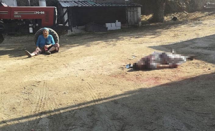 Annesinin gözü önünde öldürdü