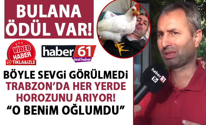 Trabzon’da her yerde horozunu arıyor: Oğlumu kaybettim!