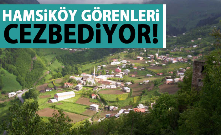 Dağların eteğindeki "Hamsiköy" cezbediyor