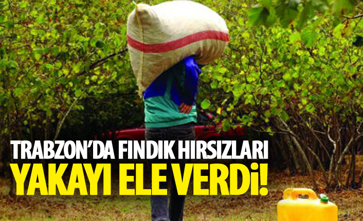 Trabzon'da fındık hırsızları yakalandı - 05 Eylül 2019