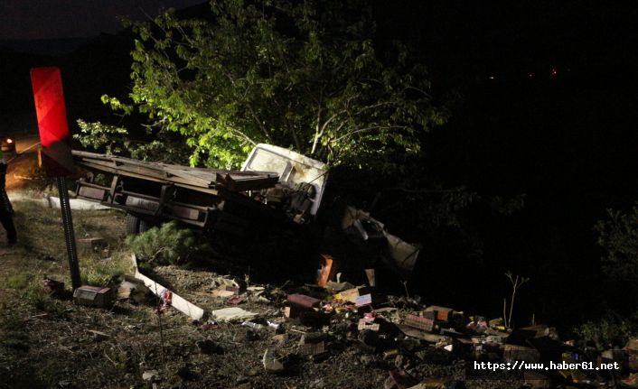 Uçuruma düşmekten Ağaç kurtardı