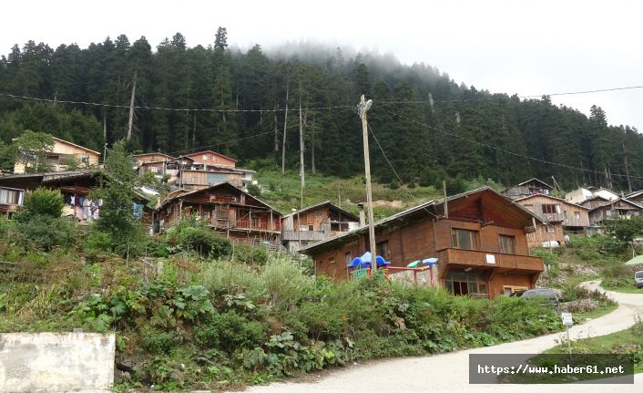 Her tarafı otel olan Uzungöl'de hayvan otlatmaya yer bulamıyorlar