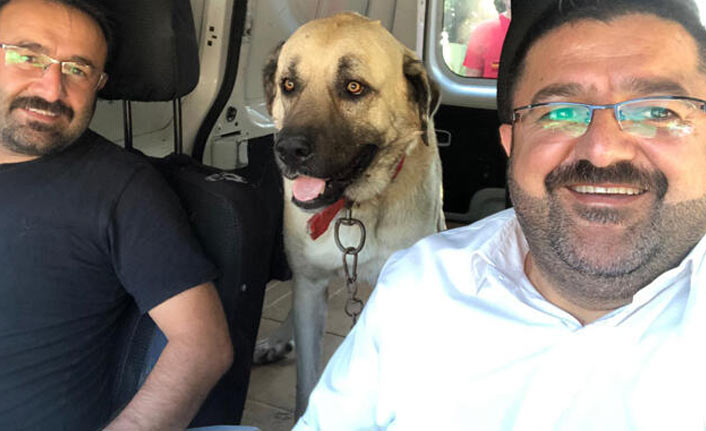 Gören şaşırıyor! Her akşam aynı...