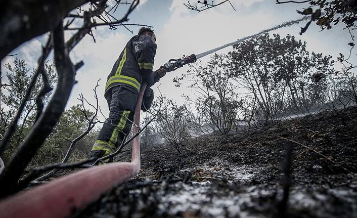 9 ildeki orman yangınları söndürüldü