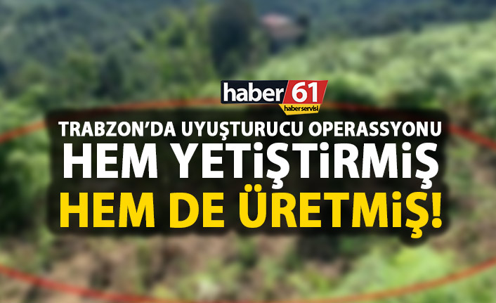 Trabzon'un Tonya ilçesinde uyuşturucu operasyonu! 29 kök kenevir bulundu