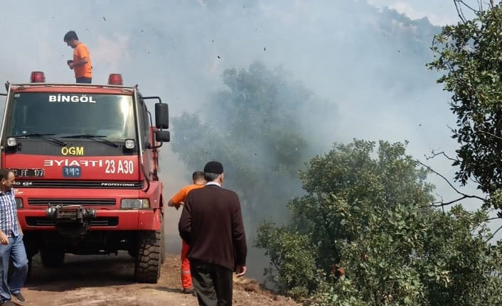 Bingöl'de çıkan orman yangını söndürüldü