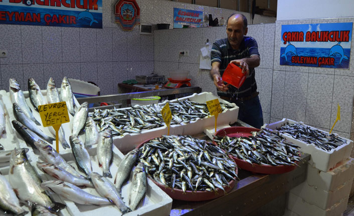 Trabzon'da yerli hamsi balıkçıları endişelendirdi