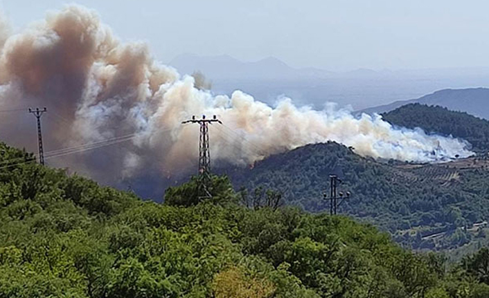 Osmaniye'de orman yangını 28 Temmuz 2021