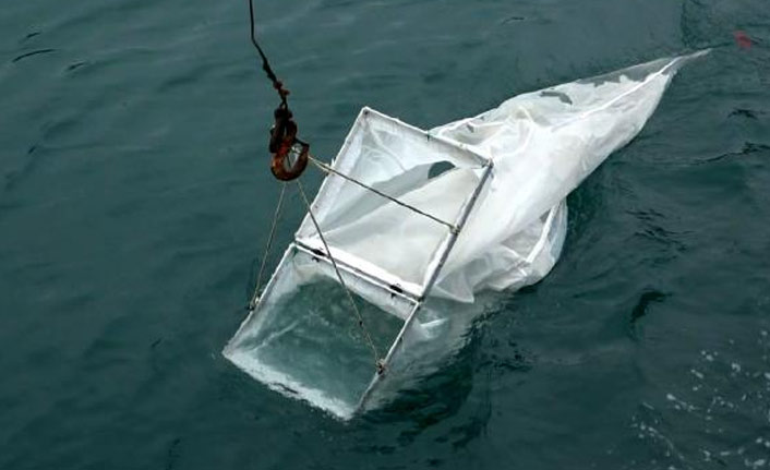 Karadeniz'de kirlilik nedeniyle ekosistem bozuluyor!