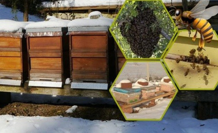 Arıcılara önemli bakım uyarısı