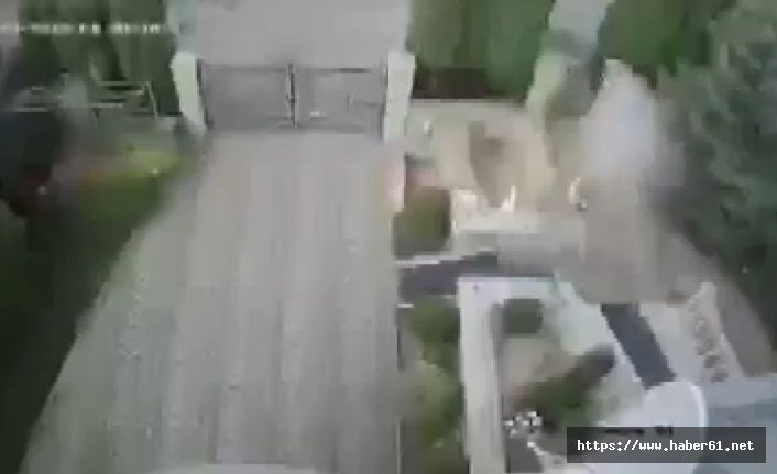 Bombalı paketi açan rektörün eli koptu