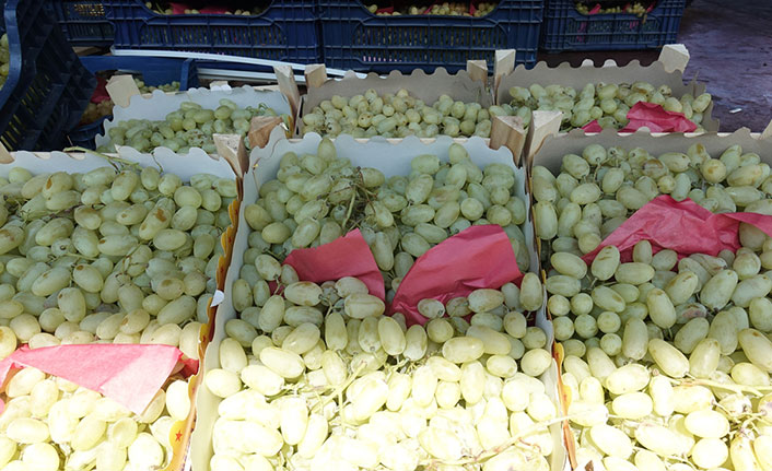 Doğu Karadeniz'den Rusya'ya dev ihracat