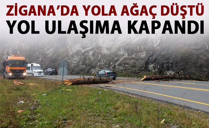 Devrilen ağaç nedeniyle yol ulaşıma kapandı