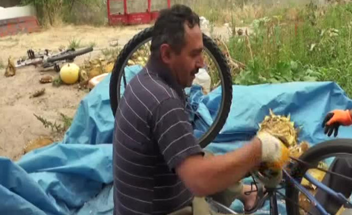 Ay çekirdeği ayıklamanın kolay yolu