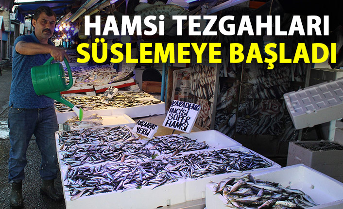 Hamsi tezgahları süslemeye başladı