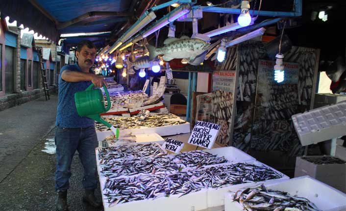 Hamsi tezgahları süslemeye başladı