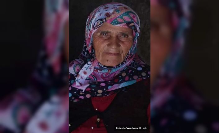 Kocaeli'de su kuyusunda aranan kadın Sakarya'da bulundu!