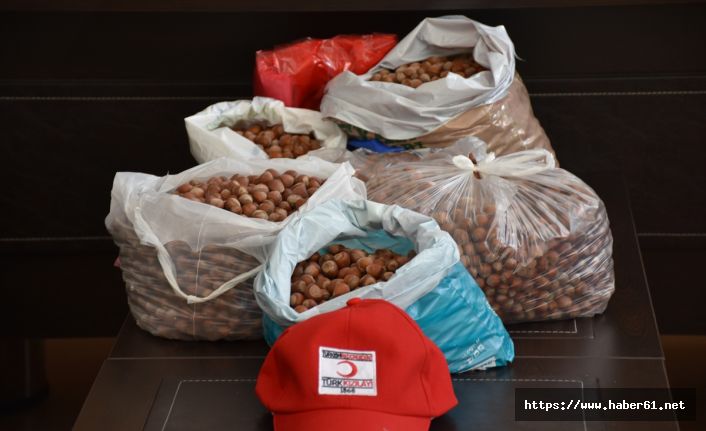 Trabzon'da özel eğitim sınıfı için fındık bağışı