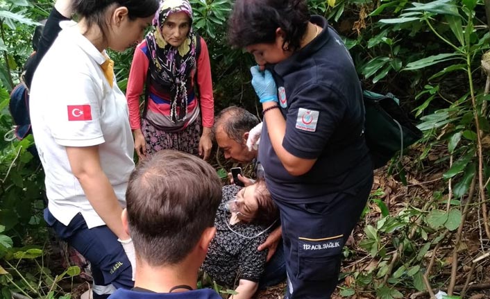 Kestane toplamaya gitti, yaban arısı saldırısına uğradı