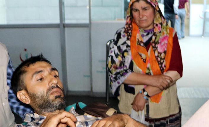 Erzurum'da ayı saldırısı!