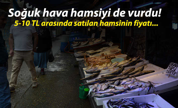 Soğuk hava hamsiyi de vurdu!
