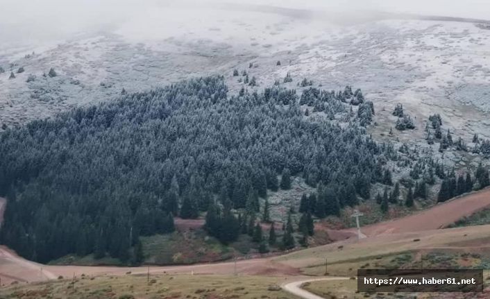  Ordu’ya mevsimin ilk karı düştü