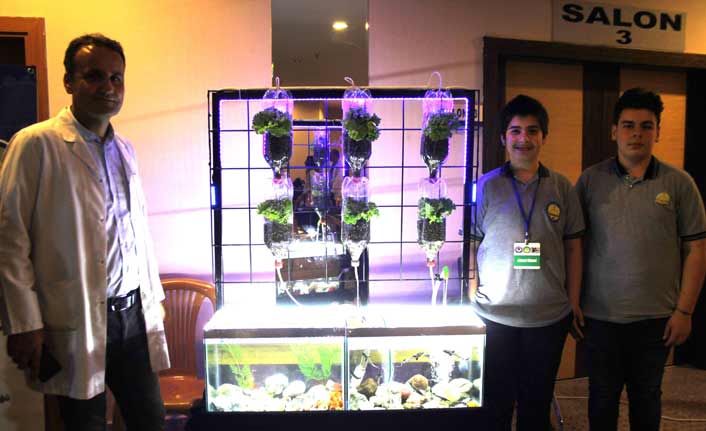 Akvaryumdaki balıkların atıkları marullara gübre oluyor