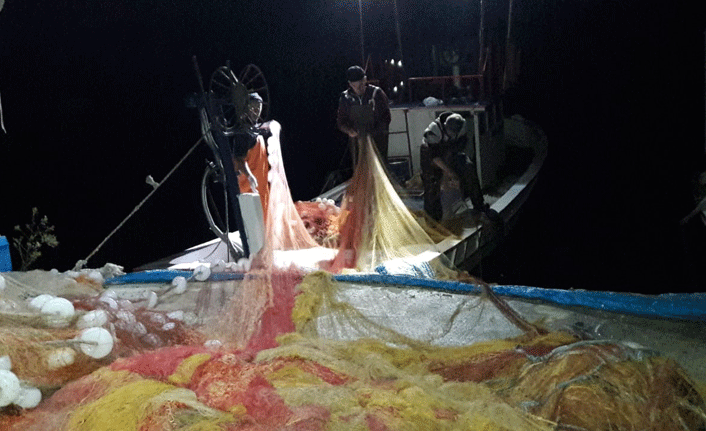 Balıkçı ile tilki dost oldular