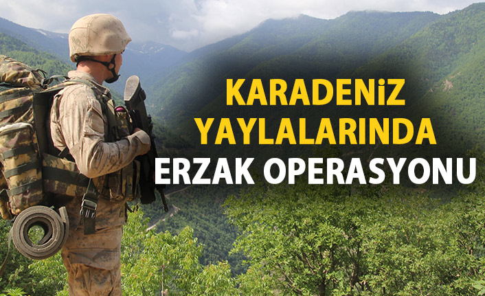 Karadeniz yaylalarında eş zamanlı erzak operasyonu