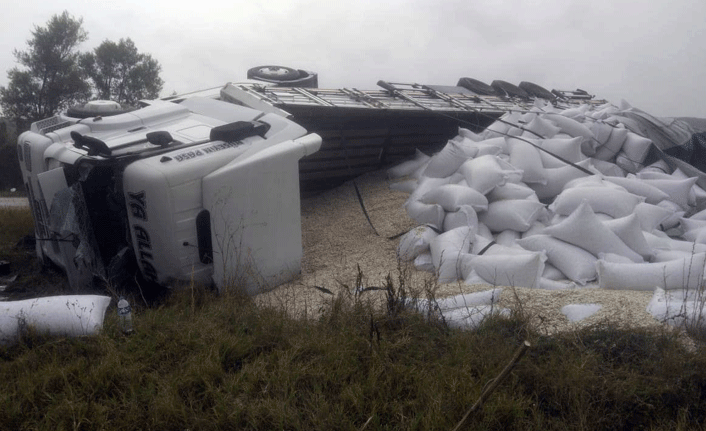 Devrilen tır taşıdığı çekirdekler yola serpildi!