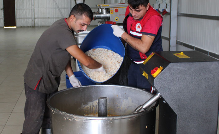Türkiye'de bir ilk! Kedi köpek maması üretim merkezi
