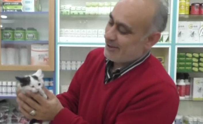 Havalandırma boşluğuna düşen yavru kediyi itfaiye kurtardı