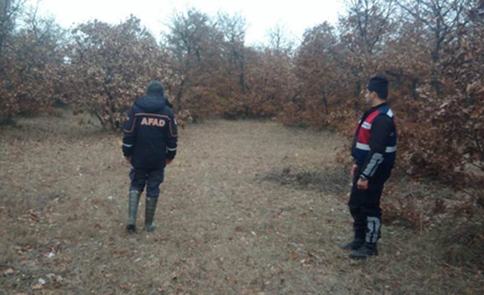 Ormana giden yaşlı adamdan haber alınamıyor