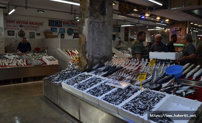  Balık bollaştı, tezgâhlar şenlendi! Balık fiyatları ne kadar?