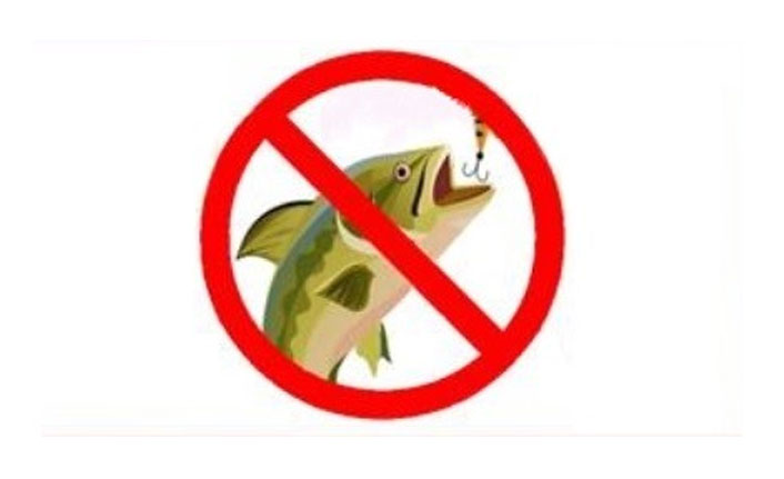 Doğal alabalık avı yasağı başlıyor