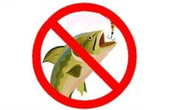 Doğal alabalık avı yasağı başlıyor