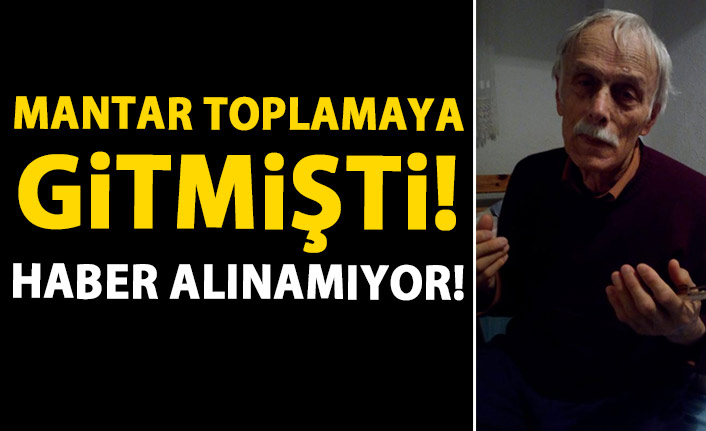 Trabzon'da mantar toplamaya giden adamdan haber alınamıyor!