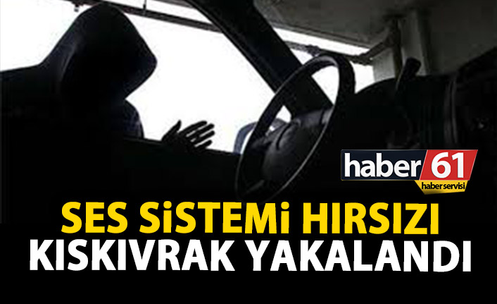 Ses sistemi hırsızları kıskıvrak yakalandı