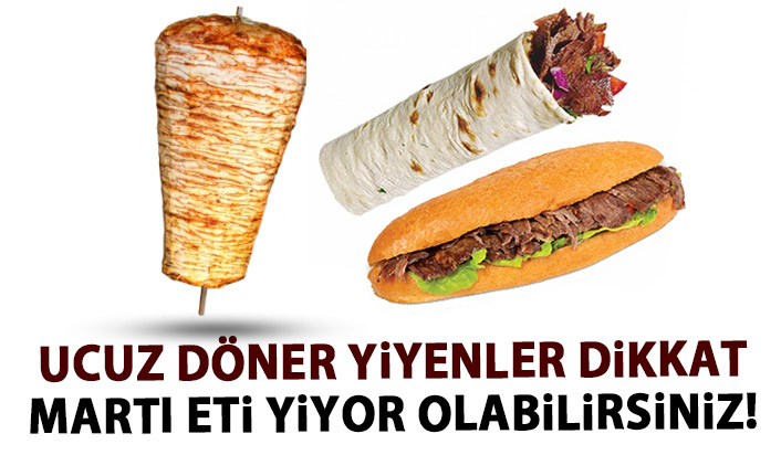 Ucuz tavuk döner yiyenler dikkat! Martı eti yiyor olabilirsiniz!