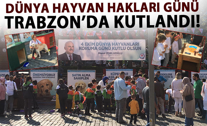 Trabzon’da hayvanlar günü etkinliği düzenlendi