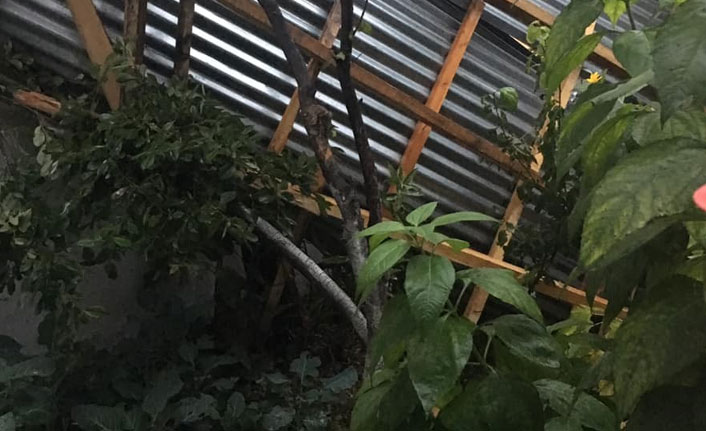 Bayburt ve Erzincan'ı fırtına vurdu