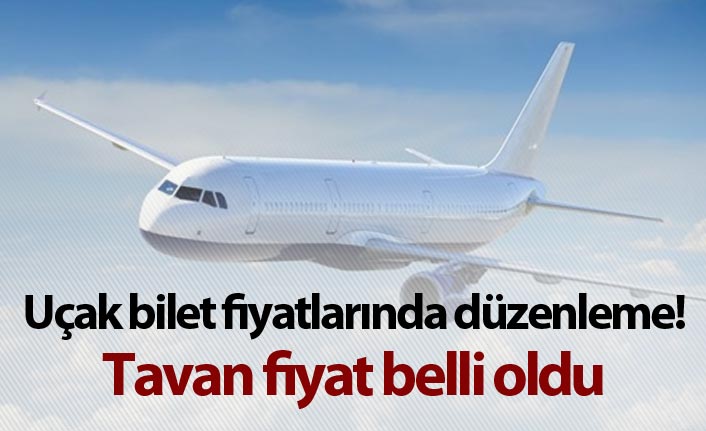 Uçak bilet fiyatlarında düzenleme! tavan fiyat belli oldu