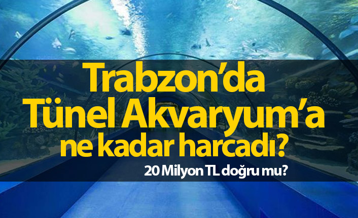 Tünel Akvaryum'a ne kadar harcandı?